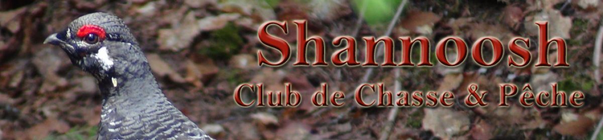 Club Shannoosh